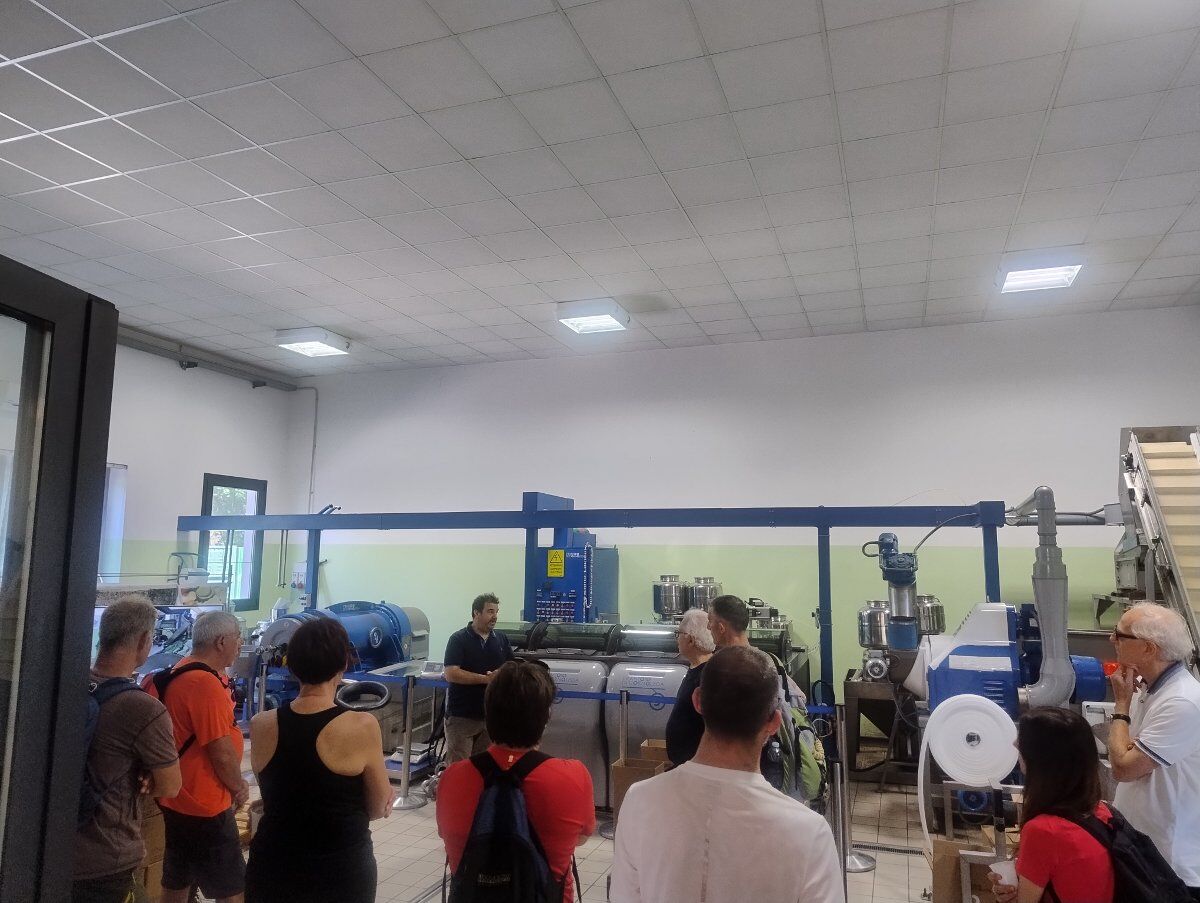 La Molitura delle Olive: degustazione e trekking euganeo La Molitura delle Olive: degustazione e trekking euganeo desktop picture