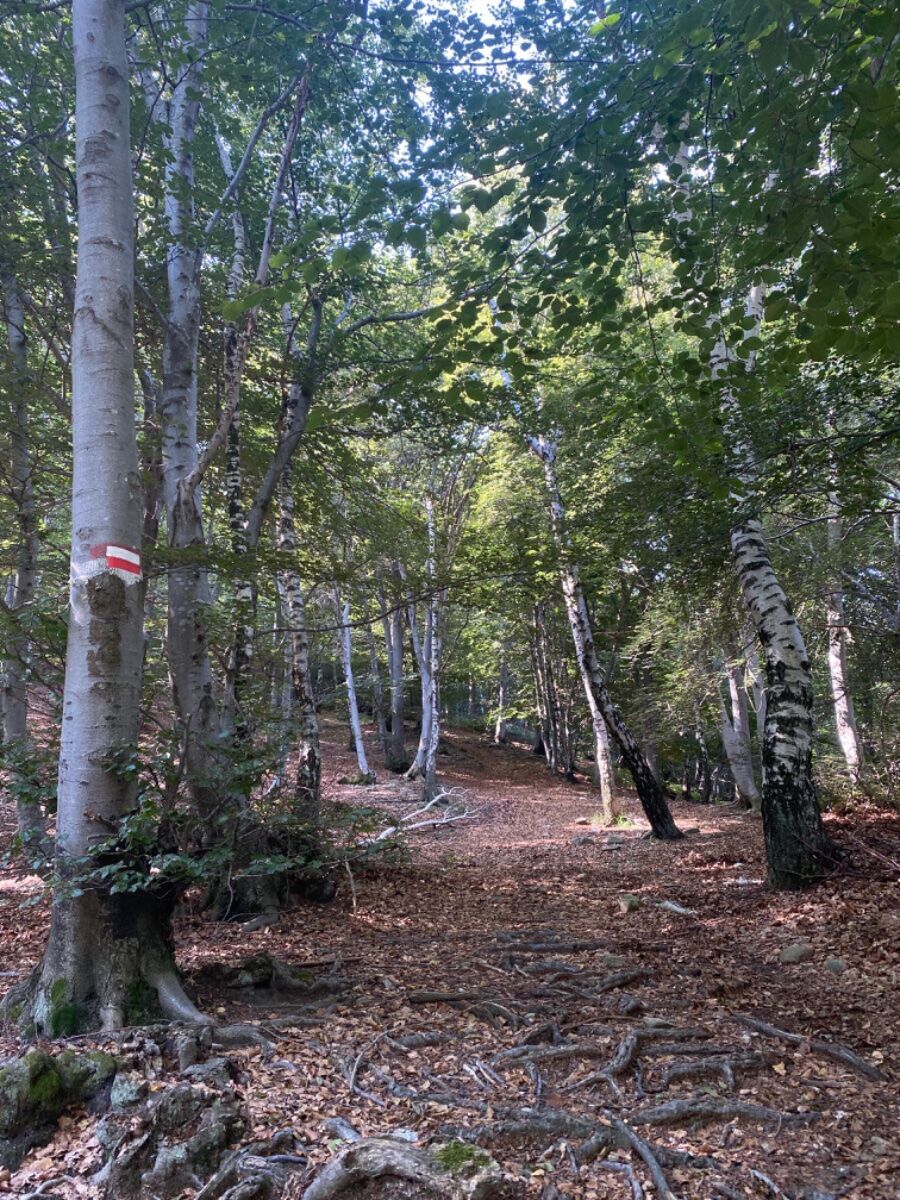 Lago Delio e Monte Borgna tra panorami e leggende Lago Delio e Monte Borgna tra panorami e leggende desktop picture