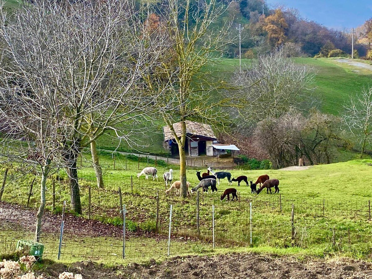 Trekking Via Matildica: tra Antichi Borghi e Suggestivi Laghetti Trekking Via Matildica: tra Antichi Borghi e Suggestivi Laghetti desktop picture
