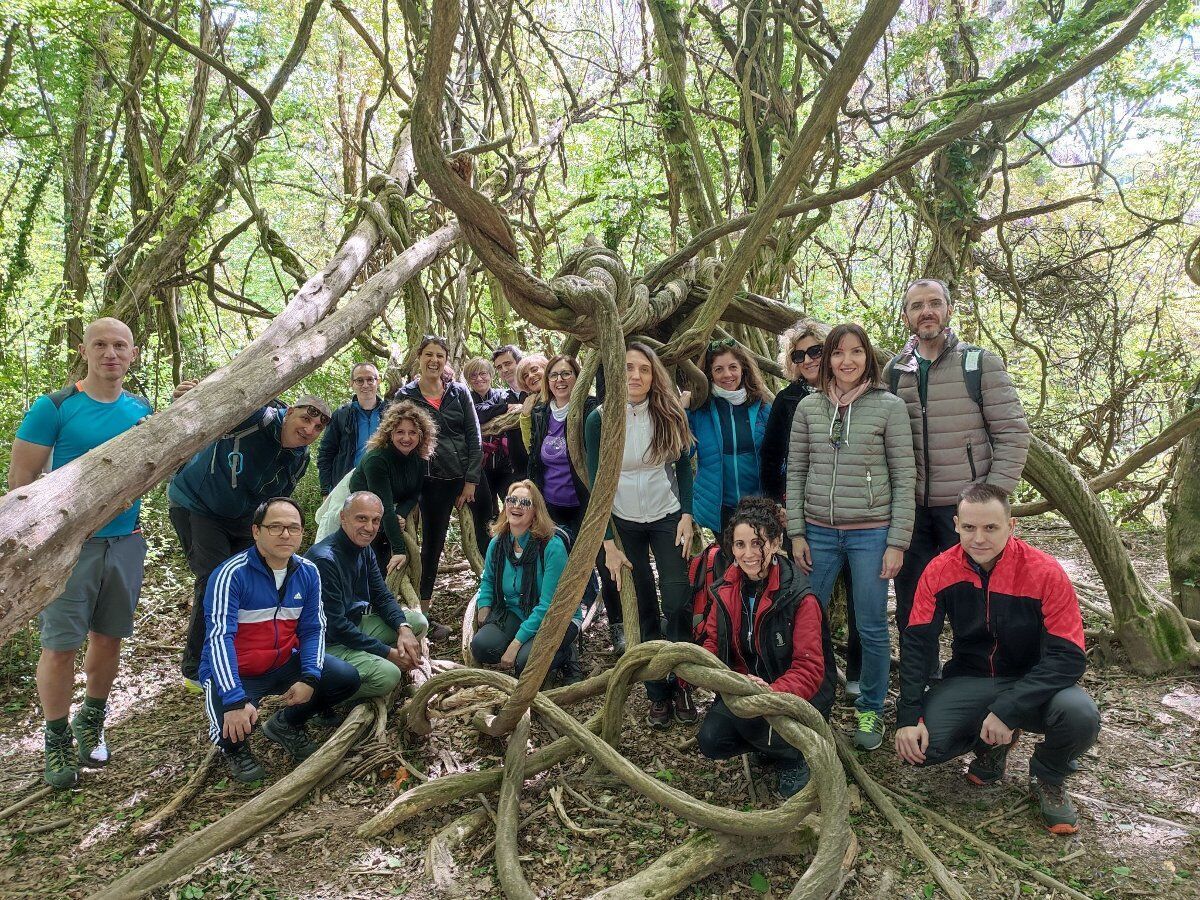 Alla scoperta del Parco del Curone: piramidi, cascine e Montevecchia Alla scoperta del Parco del Curone: piramidi, cascine e Montevecchia desktop picture