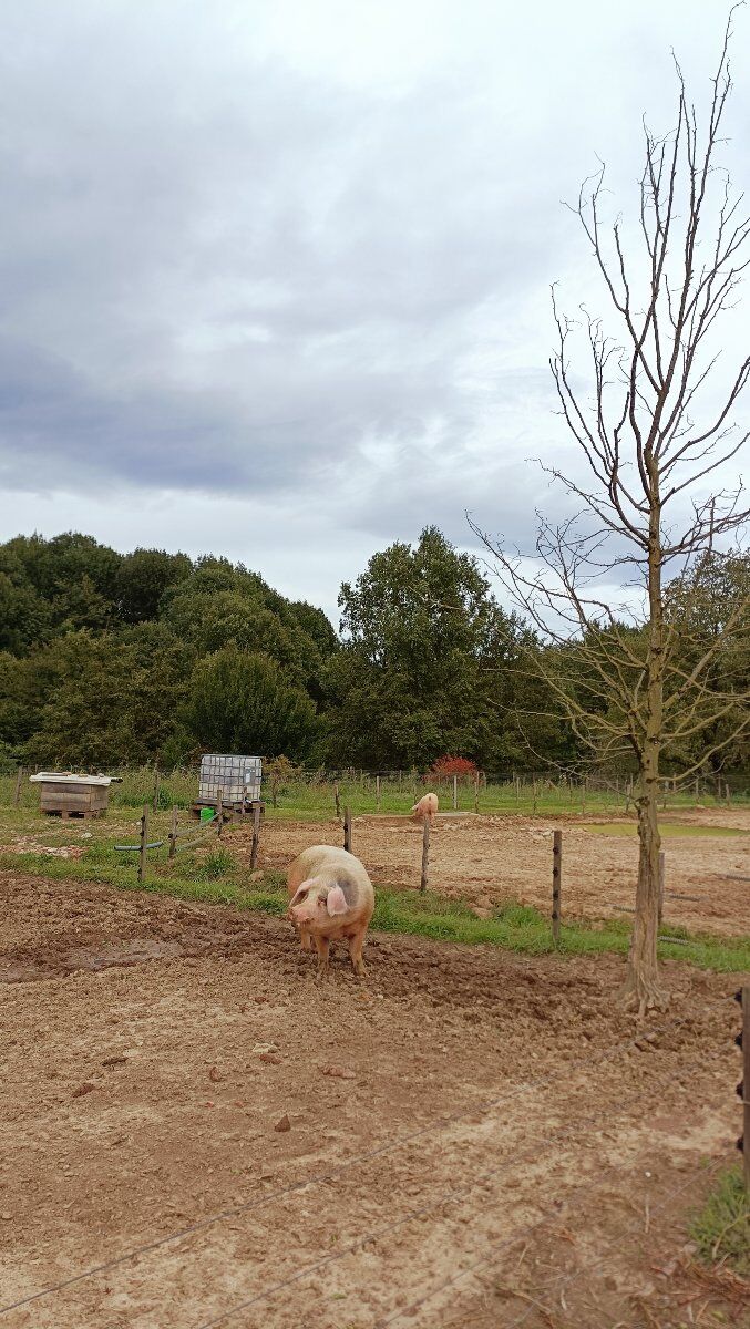 Alla scoperta del Parco del Curone: piramidi, cascine e Montevecchia Alla scoperta del Parco del Curone: piramidi, cascine e Montevecchia desktop picture