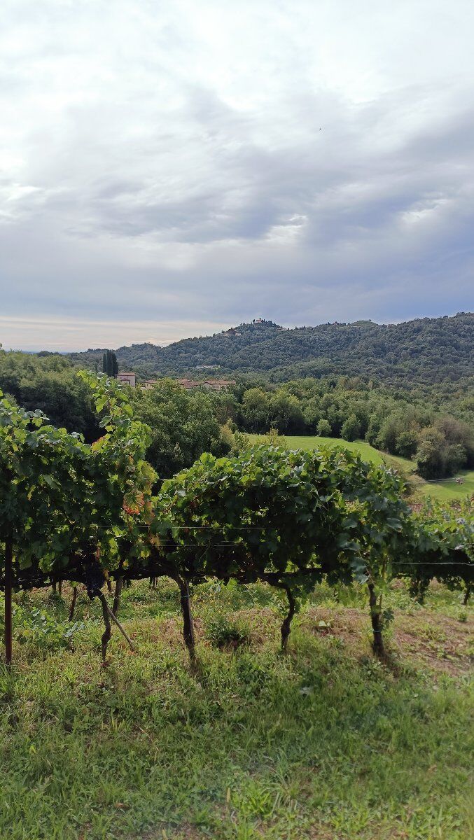Alla scoperta del Parco del Curone: piramidi, cascine e Montevecchia Alla scoperta del Parco del Curone: piramidi, cascine e Montevecchia desktop picture