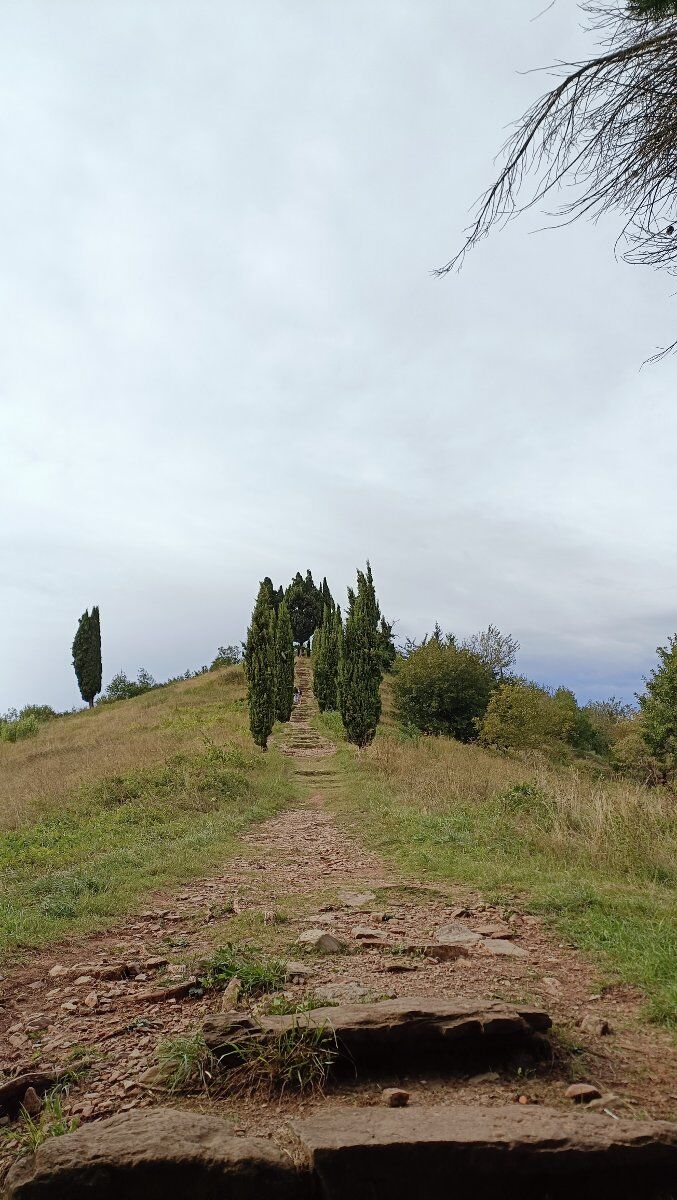 Alla scoperta del Parco del Curone: piramidi, cascine e Montevecchia Alla scoperta del Parco del Curone: piramidi, cascine e Montevecchia desktop picture