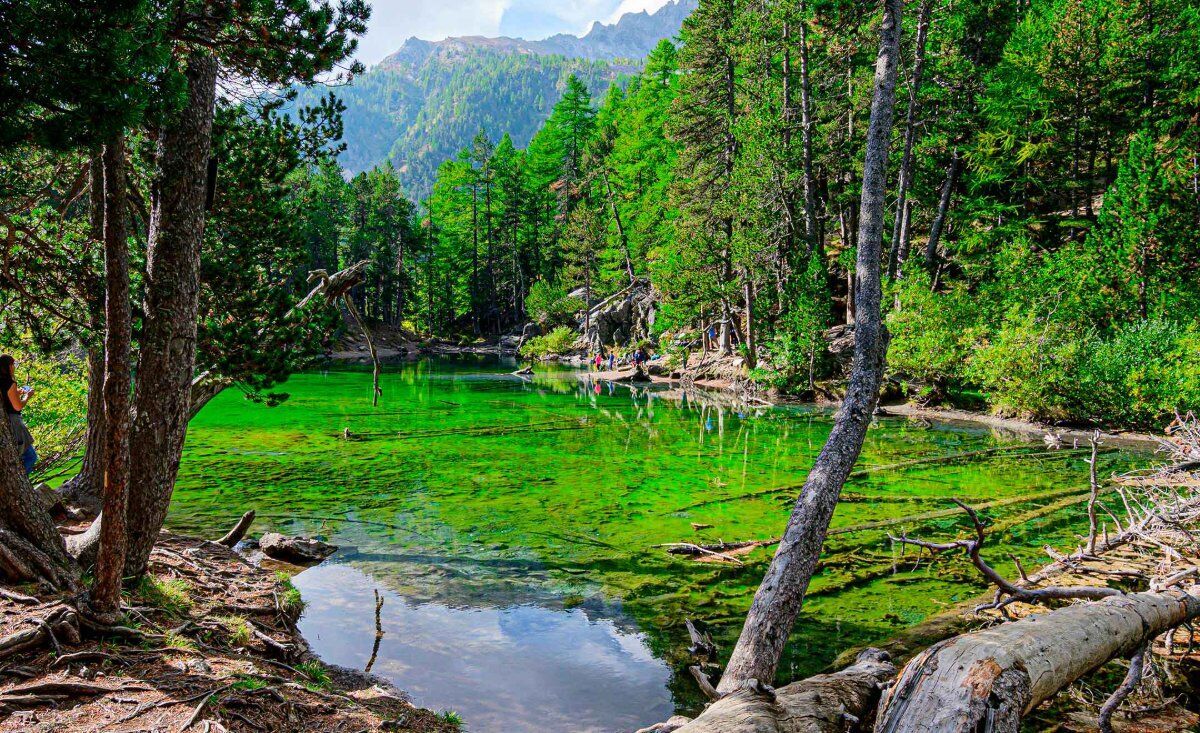 Escursione in Valle Stretta: Lago Verde tra Natura e Amicizia Escursione in Valle Stretta: Lago Verde tra Natura e Amicizia desktop picture