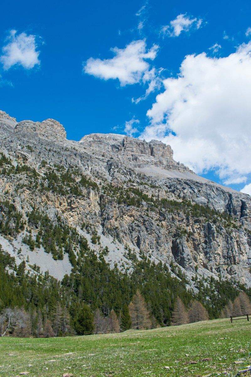 Escursione in Valle Stretta: Lago Verde tra Natura e Amicizia Escursione in Valle Stretta: Lago Verde tra Natura e Amicizia desktop picture