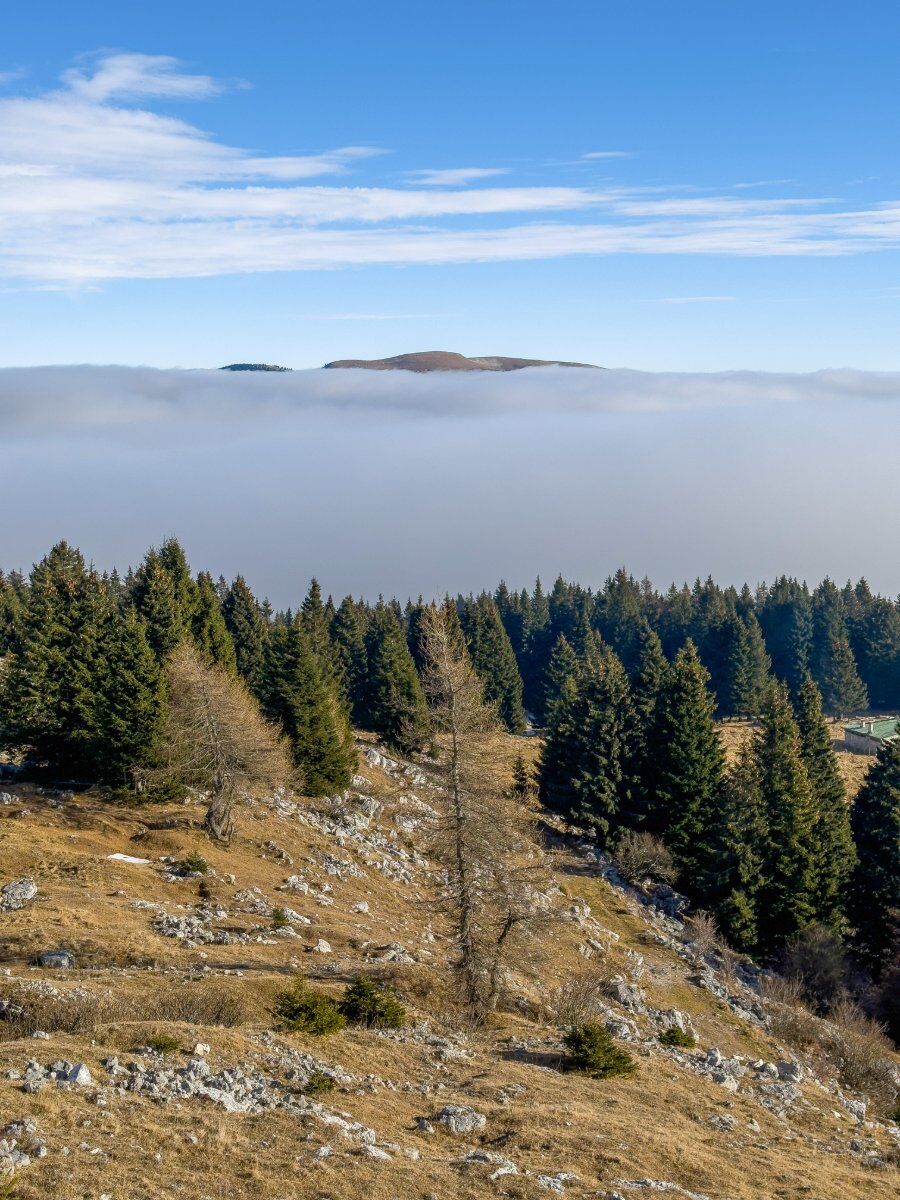 Ciaspolata Serale a Cima Ekar: osservatorio e sentiero Patrizio Rigoni Ciaspolata Serale a Cima Ekar: osservatorio e sentiero Patrizio Rigoni desktop picture