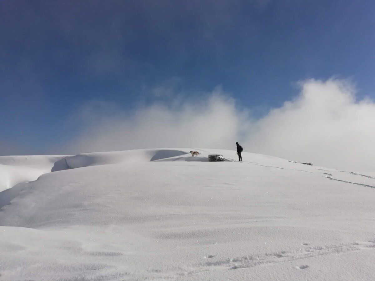 Ciaspolata al Forte Cherle da Carbonare con pranzo in compagnia Ciaspolata al Forte Cherle da Carbonare con pranzo in compagnia desktop picture