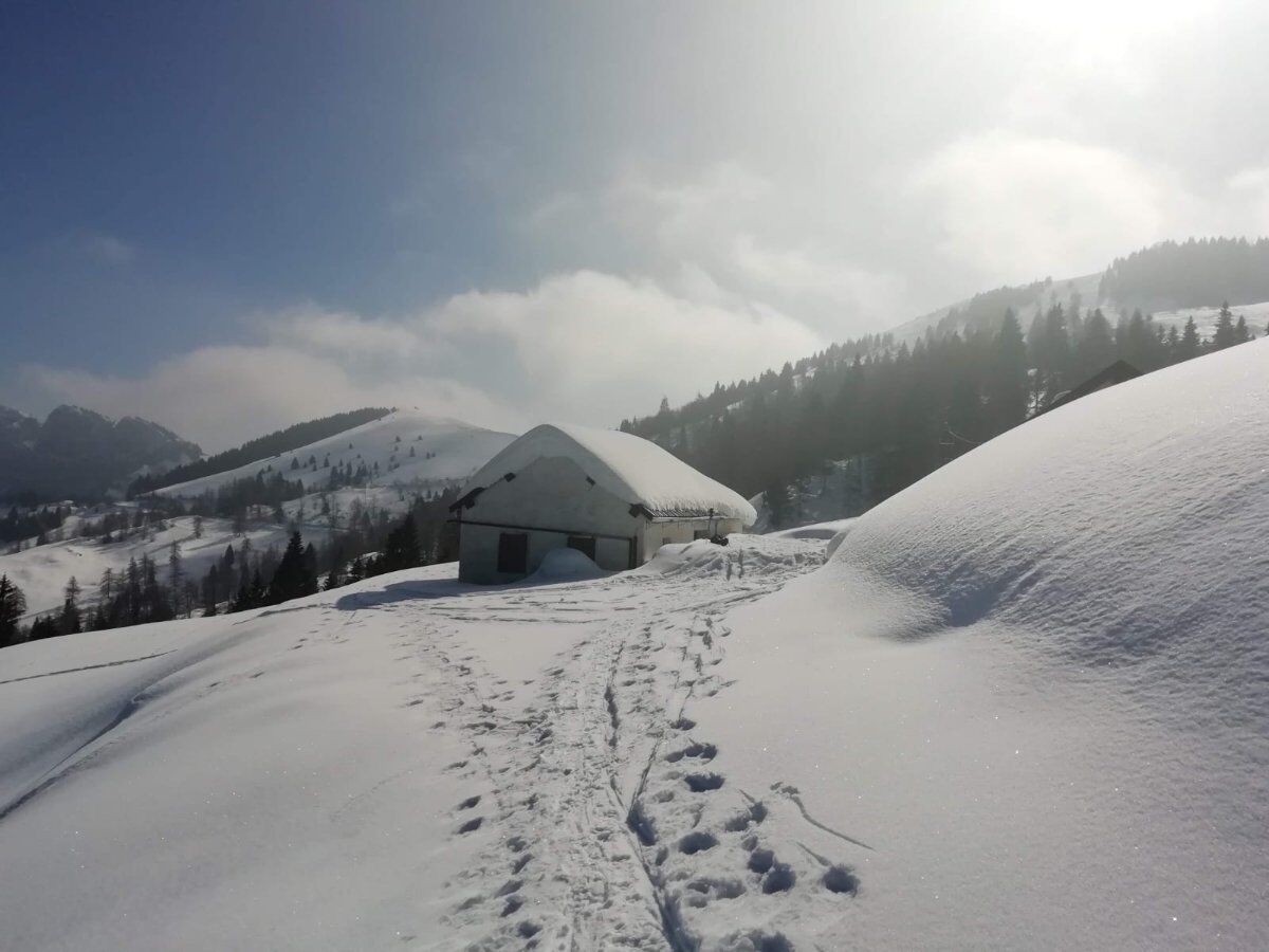 Ciaspolata al Forte Cherle da Carbonare con pranzo in compagnia Ciaspolata al Forte Cherle da Carbonare con pranzo in compagnia desktop picture