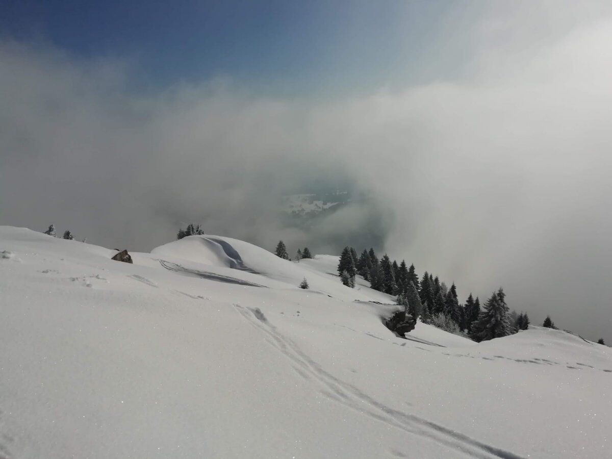 Ciaspolata al Forte Cherle da Carbonare con pranzo in compagnia Ciaspolata al Forte Cherle da Carbonare con pranzo in compagnia desktop picture