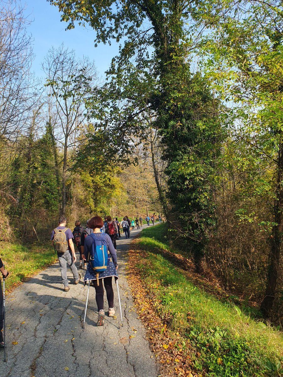 Cammini del Romanico: Quinta tappa, l'Anello di Mombello e il Lago di Arignano Cammini del Romanico: Quinta tappa, l'Anello di Mombello e il Lago di Arignano desktop picture
