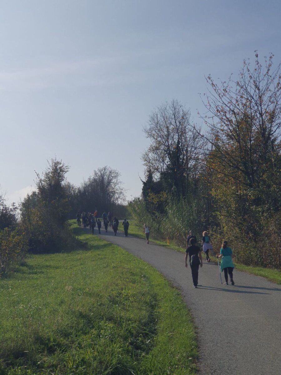 Escursione ad Anello della Bogliona: Terzo d'Acqui Escursione ad Anello della Bogliona: Terzo d'Acqui desktop picture