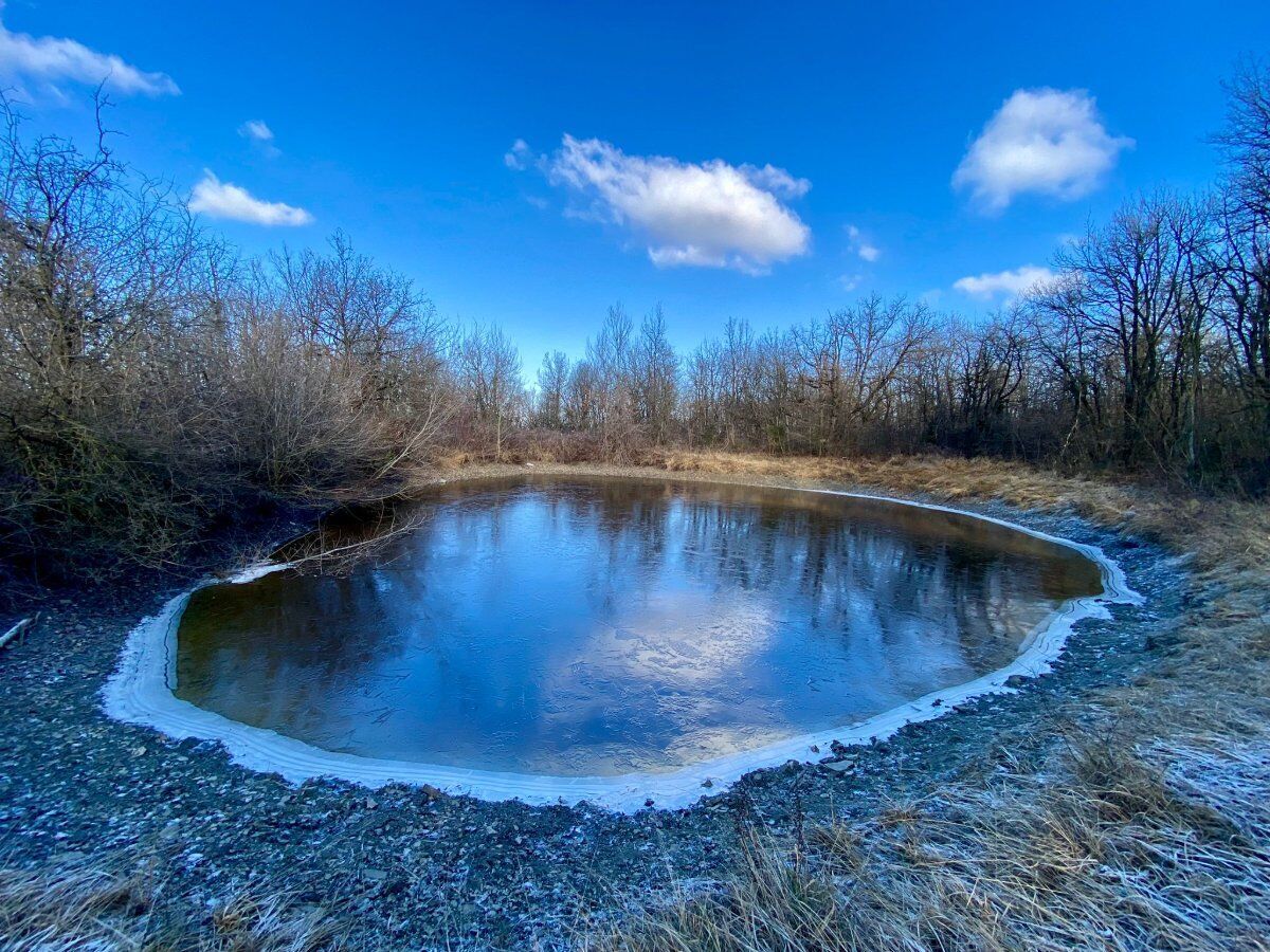 Trek tra laghetti e la Grande Quercia con pizzata finale Trek tra laghetti e la Grande Quercia con pizzata finale desktop picture