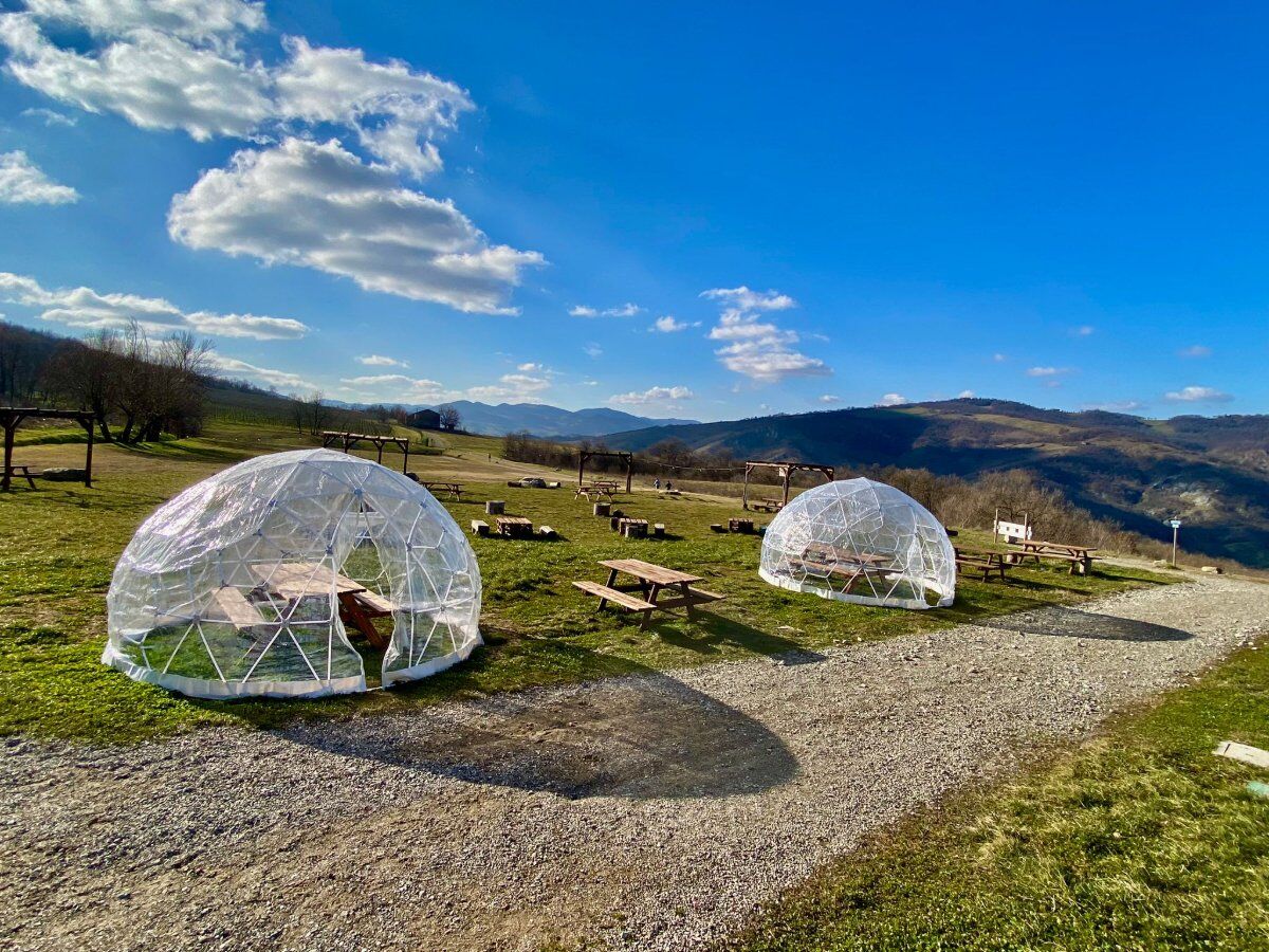 Trek tra laghetti e la Grande Quercia con pizzata finale Trek tra laghetti e la Grande Quercia con pizzata finale desktop picture