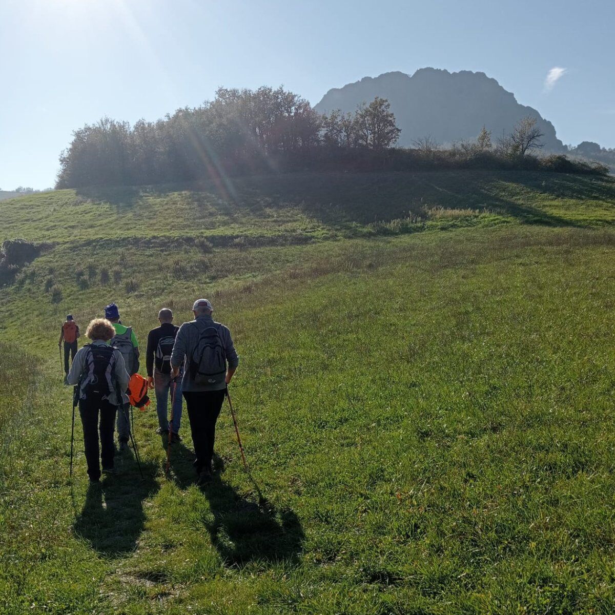 Esplora le meraviglie naturali delle Pietre Parcellara e Perduca Esplora le meraviglie naturali delle Pietre Parcellara e Perduca desktop picture
