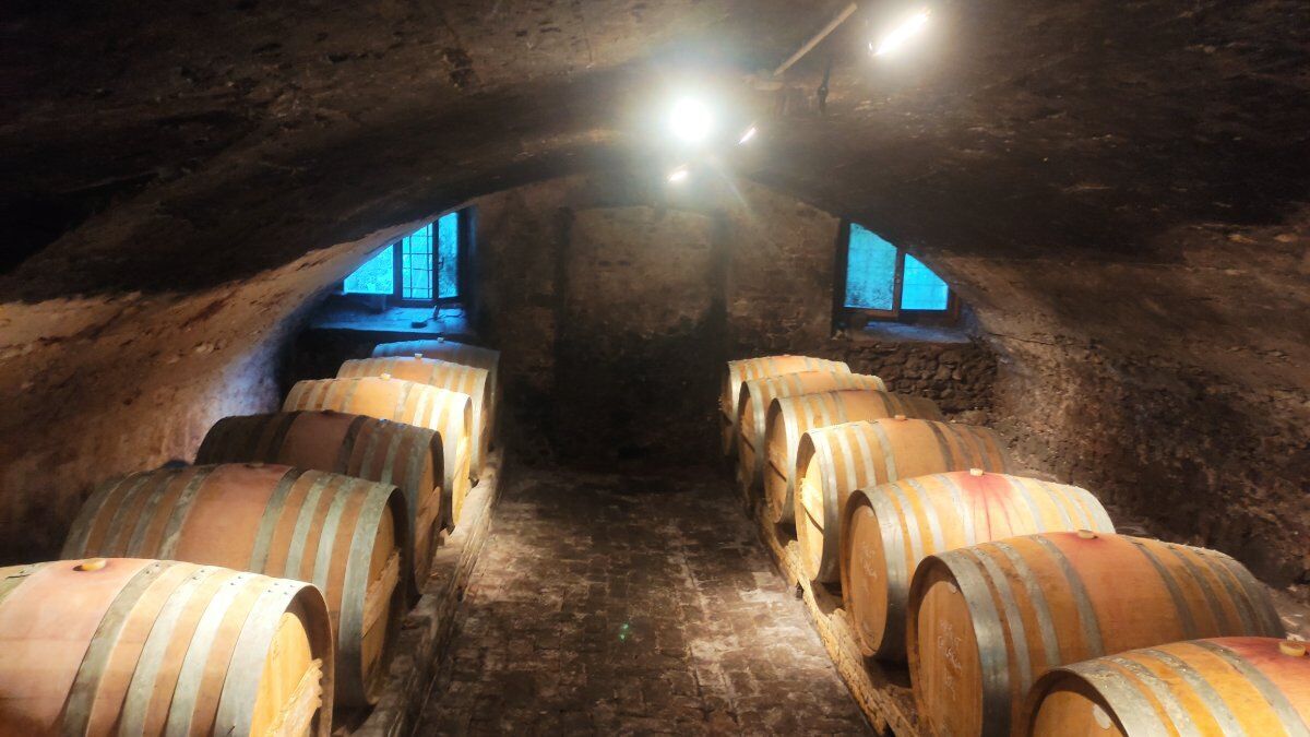 Il sentiero delle Riveselle sui Colli Berici con degustazione vini Il sentiero delle Riveselle sui Colli Berici con degustazione vini desktop picture