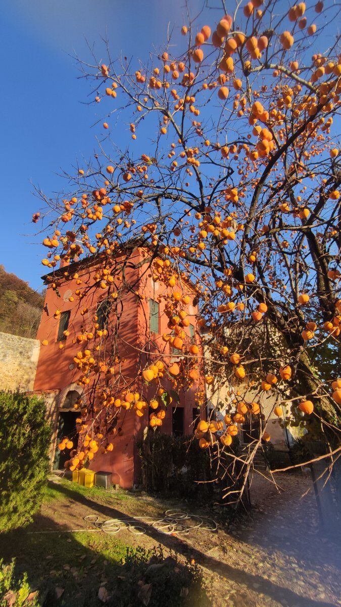 Il sentiero delle Riveselle sui Colli Berici con degustazione vini Il sentiero delle Riveselle sui Colli Berici con degustazione vini desktop picture
