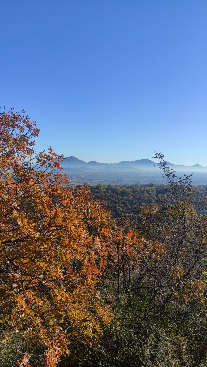 Il sentiero delle Riveselle sui Colli Berici con degustazione vini Il sentiero delle Riveselle sui Colli Berici con degustazione vini desktop picture