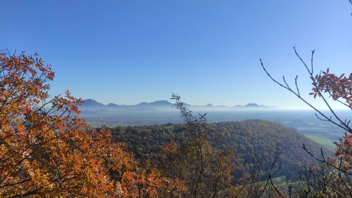 Il sentiero delle Riveselle sui Colli Berici con degustazione vini Il sentiero delle Riveselle sui Colli Berici con degustazione vini desktop picture