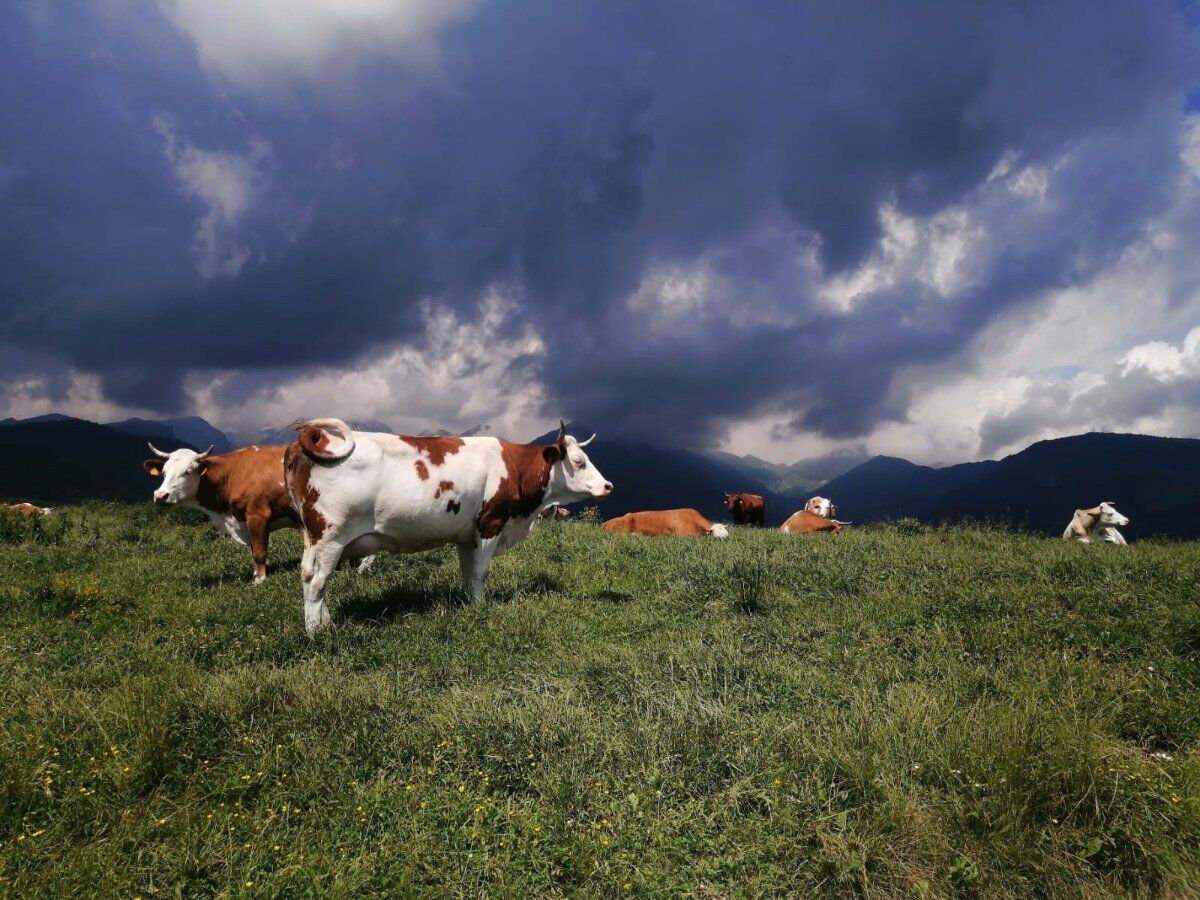 Il fascino della Valle delle Sfingi con pranzo in rifugio Il fascino della Valle delle Sfingi con pranzo in rifugio desktop picture