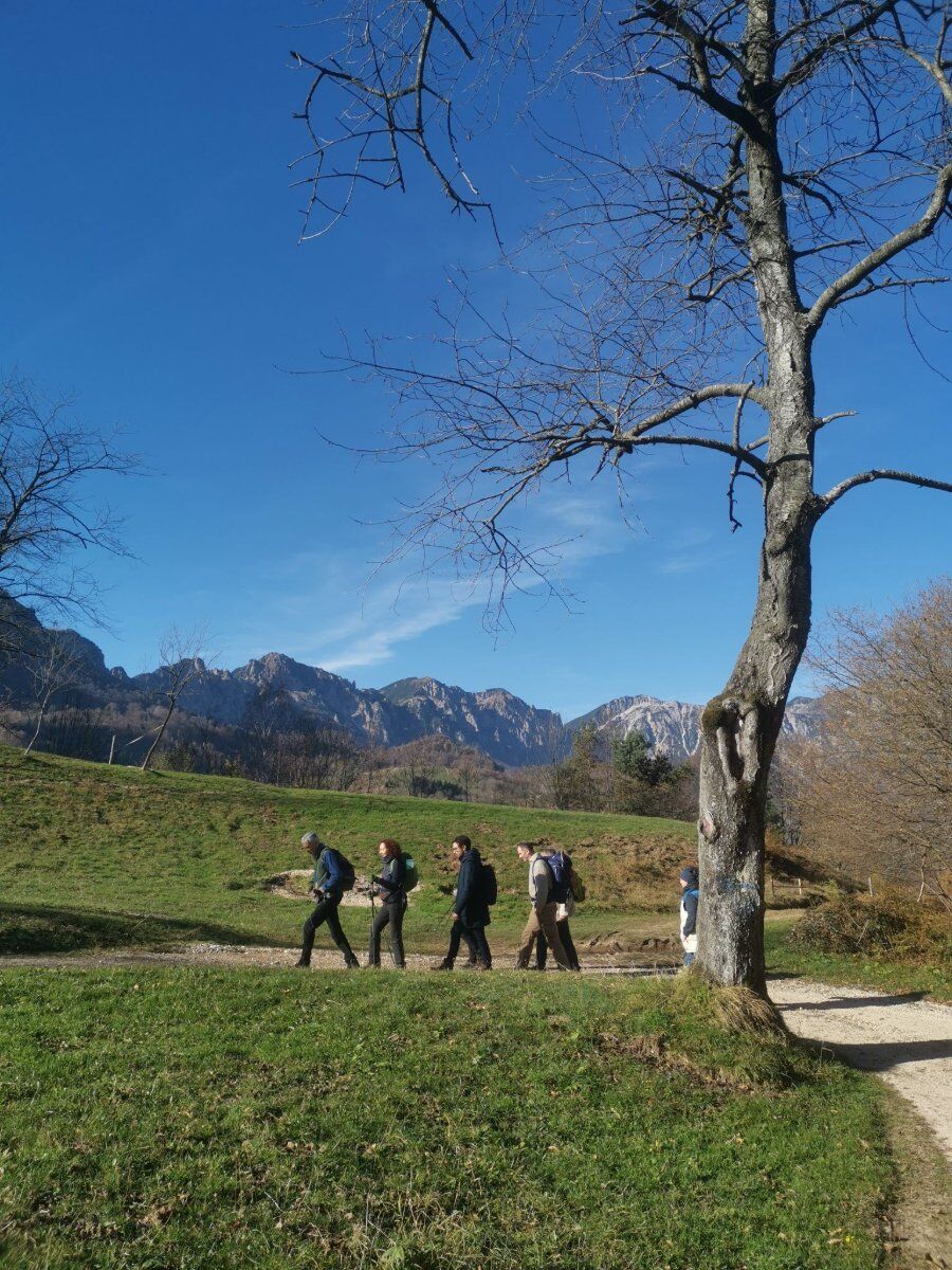 Escursione al Monte Spitz: pulpito panoramico sulla Vallata dell'Agno Escursione al Monte Spitz: pulpito panoramico sulla Vallata dell'Agno desktop picture