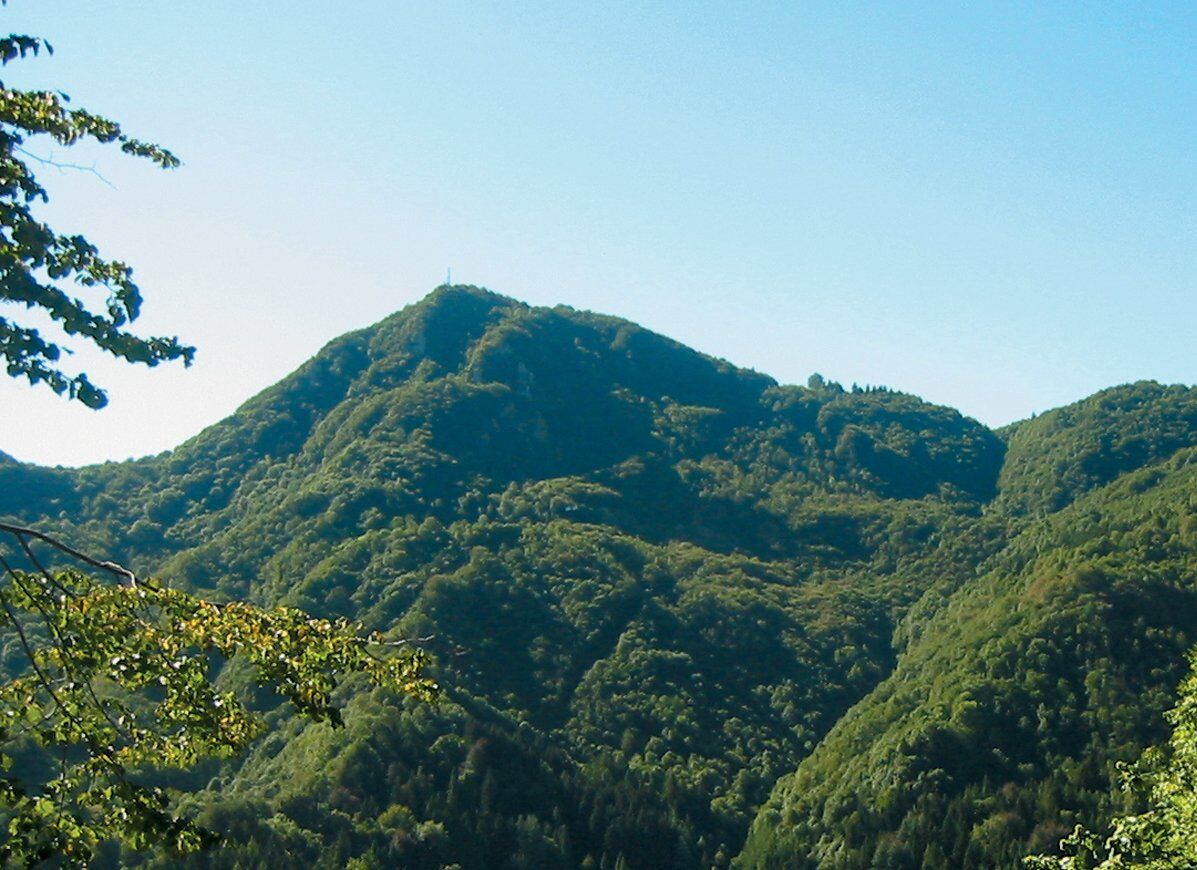 Escursione al Monte Spitz: pulpito panoramico sulla Vallata dell'Agno Escursione al Monte Spitz: pulpito panoramico sulla Vallata dell'Agno desktop picture