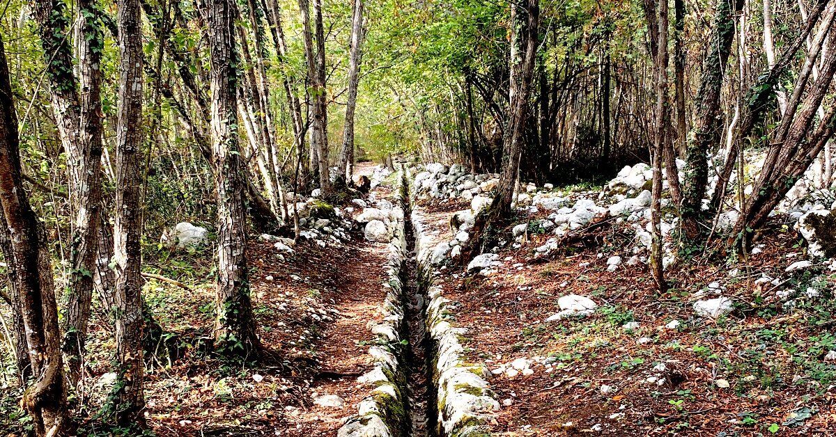 Alla scoperta del Rujal: trekking e pranzo in pedemontana pordenonese Alla scoperta del Rujal: trekking e pranzo in pedemontana pordenonese desktop picture