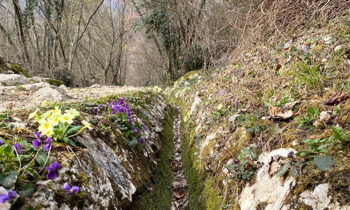 Alla scoperta del Rujal: trekking e pranzo in pedemontana pordenonese Alla scoperta del Rujal: trekking e pranzo in pedemontana pordenonese desktop picture