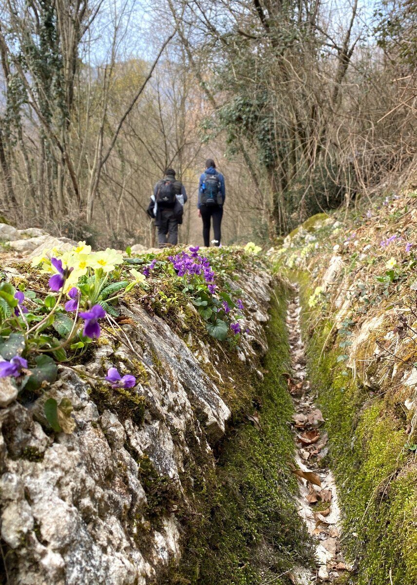 Alla scoperta del Rujal: trekking e pranzo in pedemontana pordenonese Alla scoperta del Rujal: trekking e pranzo in pedemontana pordenonese desktop picture