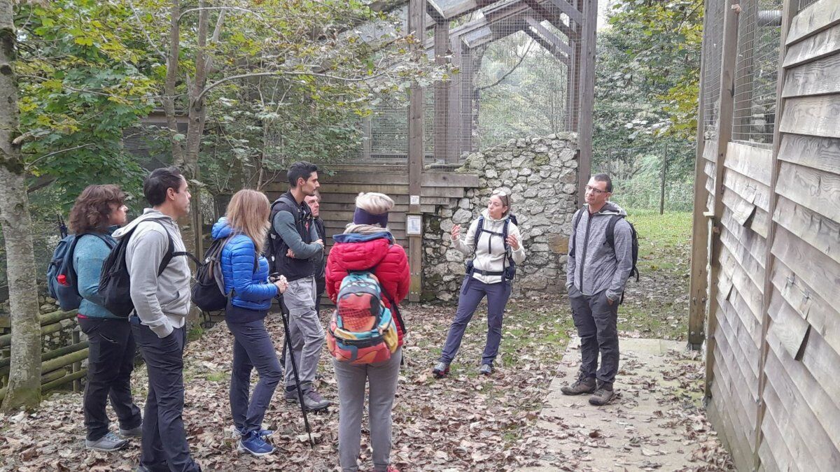 Alla scoperta del Rujal: trekking e pranzo in pedemontana pordenonese Alla scoperta del Rujal: trekking e pranzo in pedemontana pordenonese desktop picture