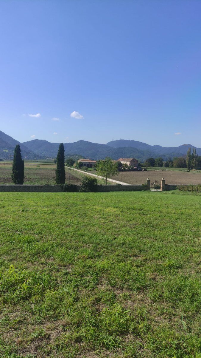 Escursione ad Anello tra Monticelli e M. Lispida Escursione ad Anello tra Monticelli e M. Lispida desktop picture