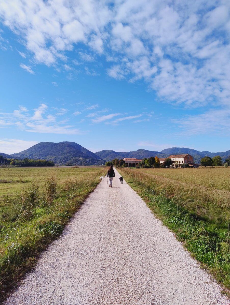 Escursione ad Anello tra Monticelli e M. Lispida Escursione ad Anello tra Monticelli e M. Lispida desktop picture