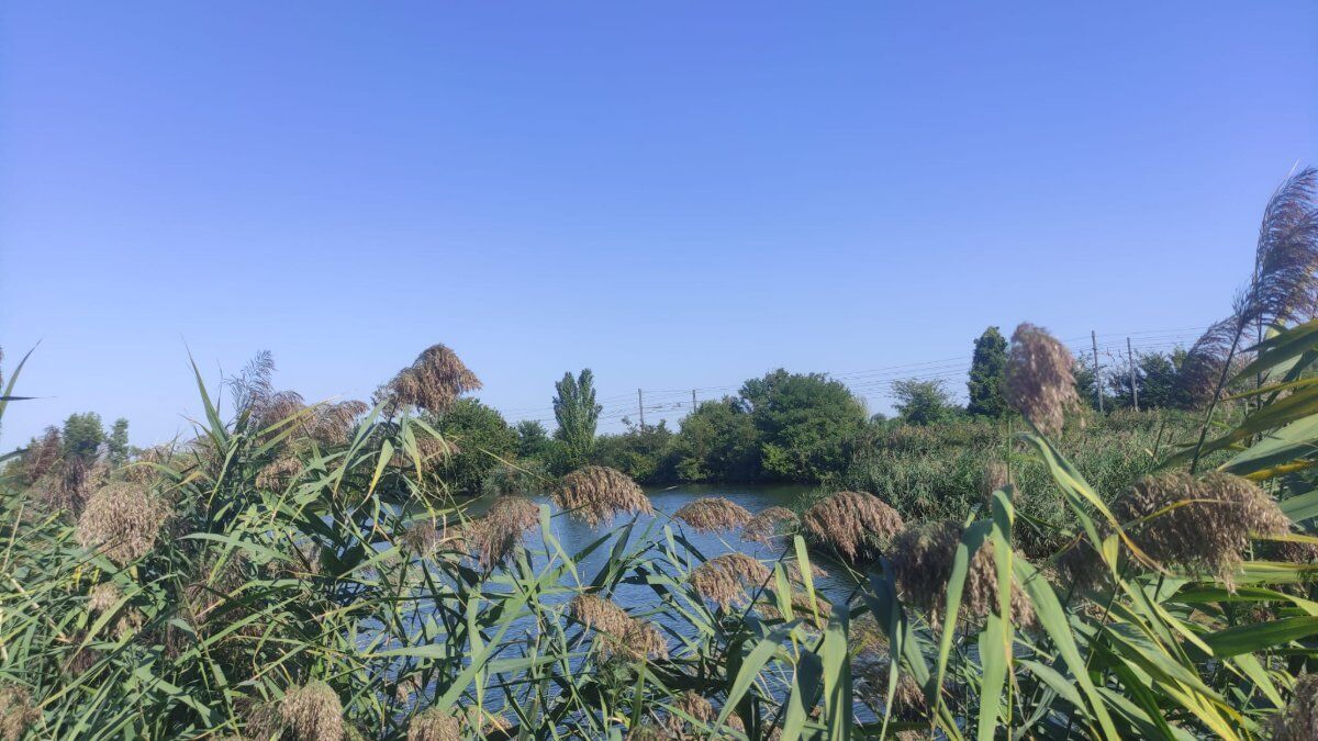 Escursione ad Anello tra Monticelli e M. Lispida Escursione ad Anello tra Monticelli e M. Lispida desktop picture