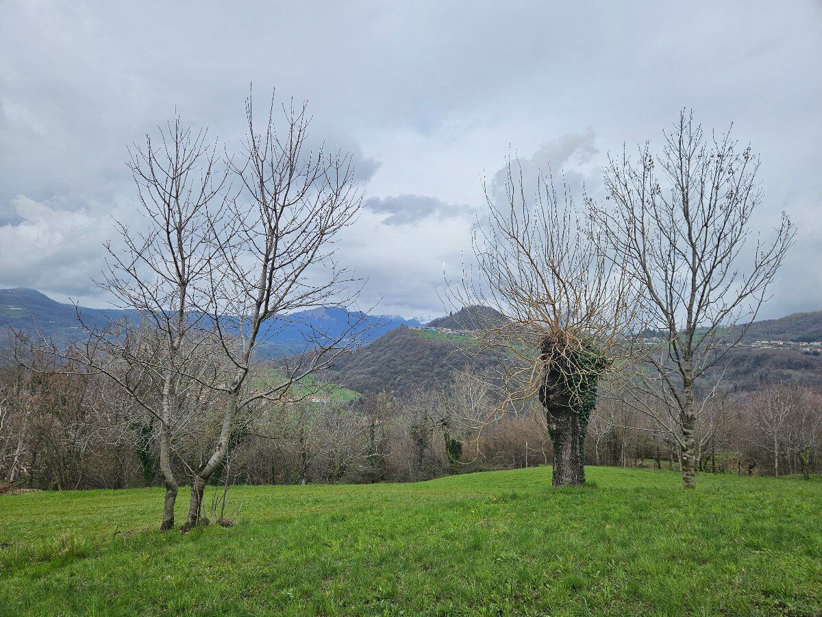 Escursione tra le contrade di Alvese alla ricerca dei Murales Escursione tra le contrade di Alvese alla ricerca dei Murales desktop picture