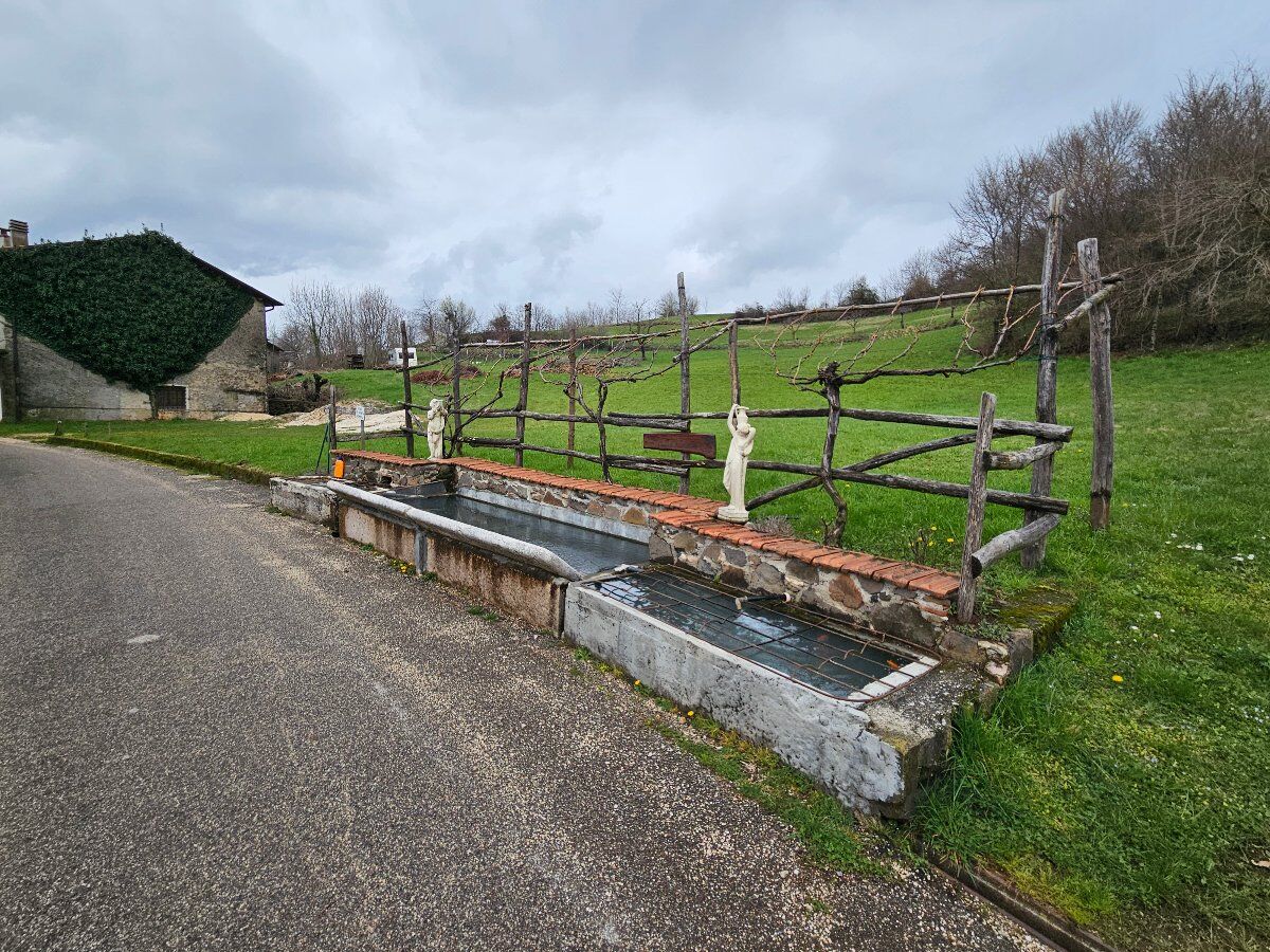 Escursione tra le contrade di Alvese alla ricerca dei Murales Escursione tra le contrade di Alvese alla ricerca dei Murales desktop picture