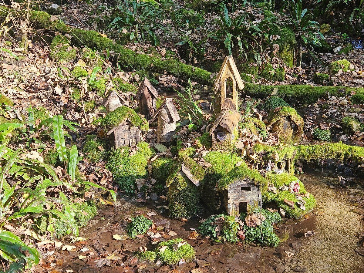 Escursione ad anello alla Cascata dei Papalini e al Buco delle Anguane Escursione ad anello alla Cascata dei Papalini e al Buco delle Anguane desktop picture