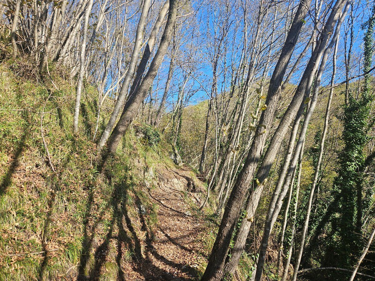 Escursione ad anello alla Cascata dei Papalini e al Buco delle Anguane Escursione ad anello alla Cascata dei Papalini e al Buco delle Anguane desktop picture