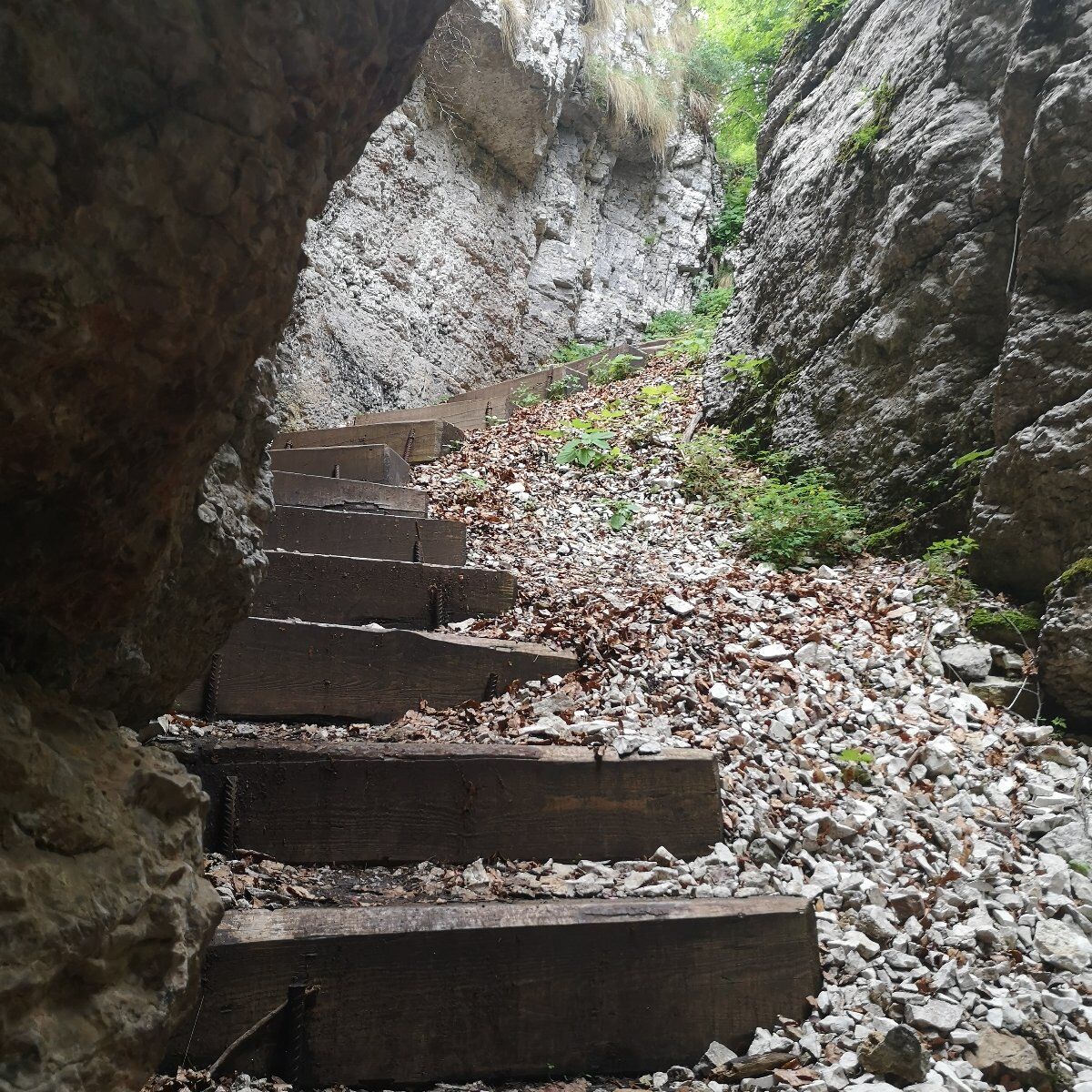 Escursione ad anello alla Forra del Lupo Escursione ad anello alla Forra del Lupo desktop picture