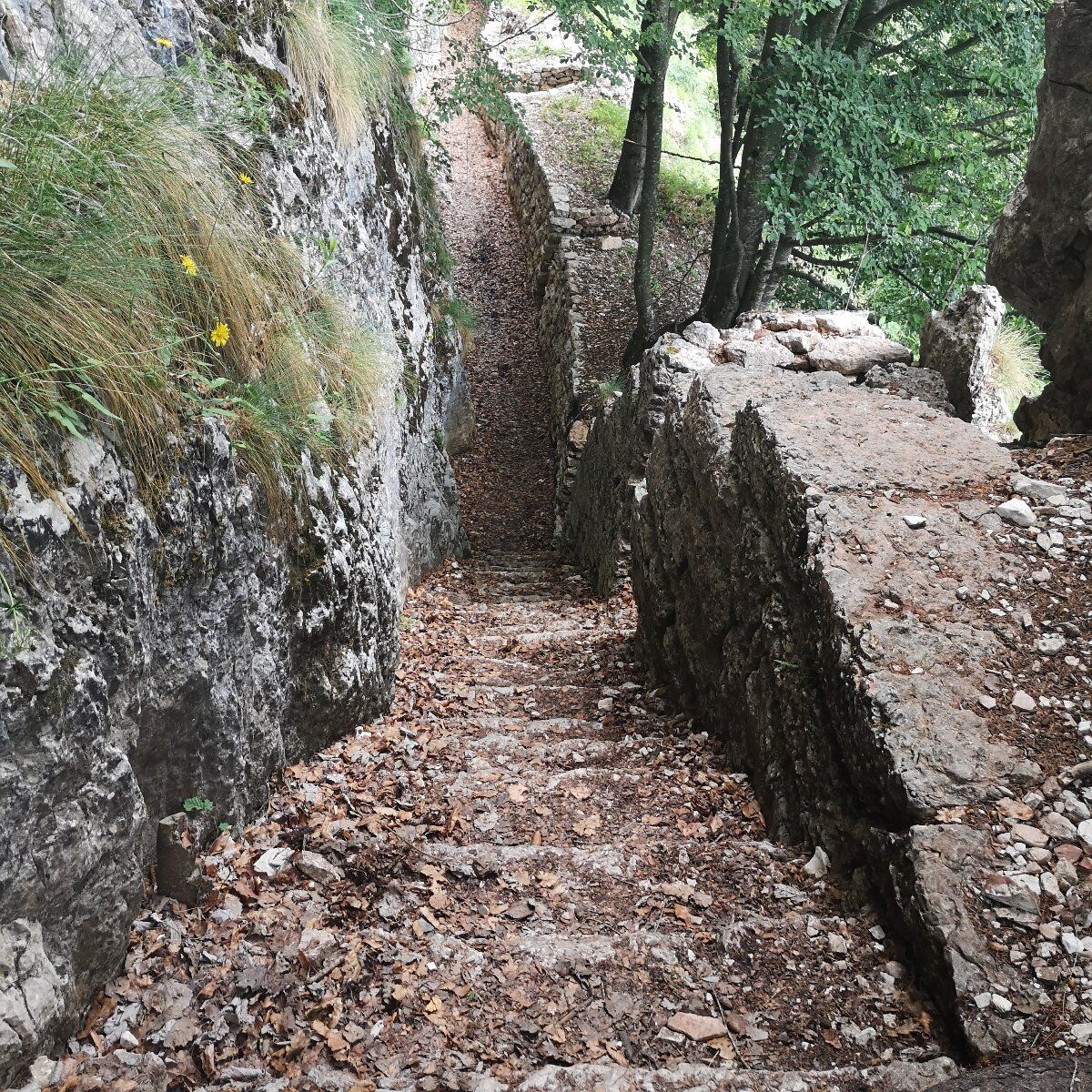 Escursione ad anello alla Forra del Lupo Escursione ad anello alla Forra del Lupo desktop picture