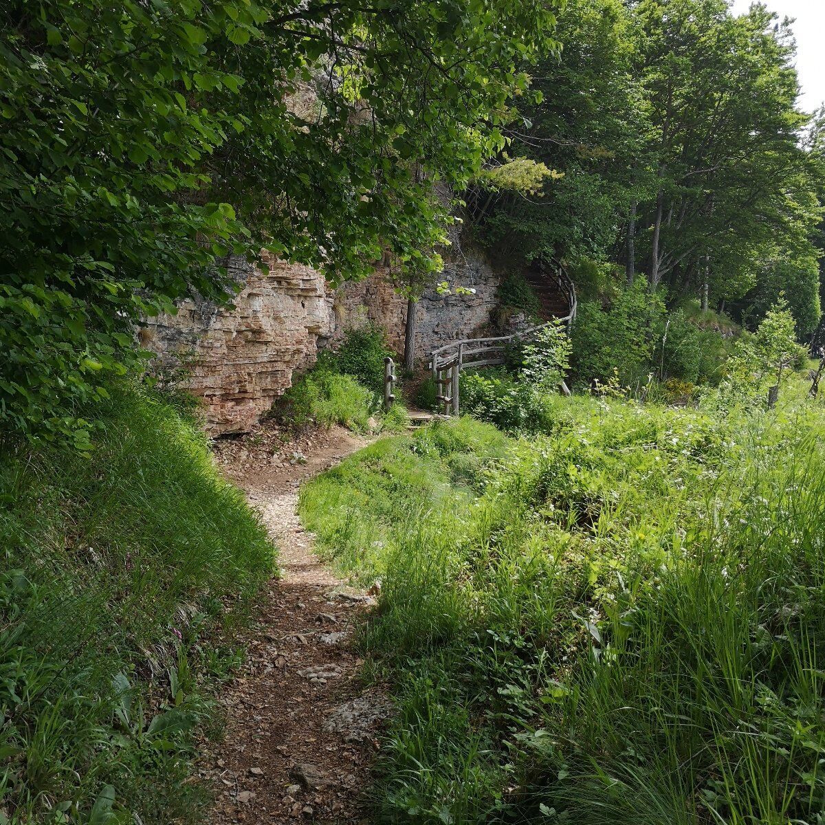 Escursione ad anello alla Forra del Lupo Escursione ad anello alla Forra del Lupo desktop picture