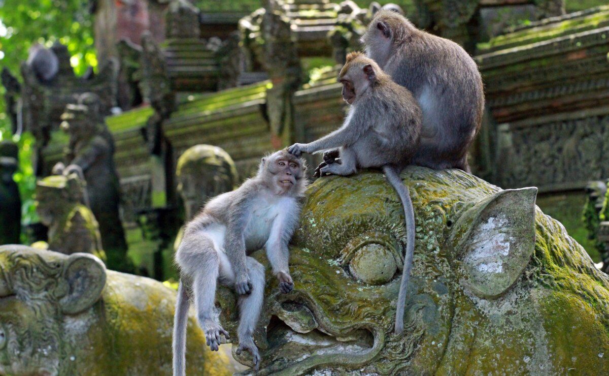 Viaggio di gruppo in Indonesia: Bali e le isole Gili Viaggio di gruppo in Indonesia: Bali e le isole Gili desktop picture