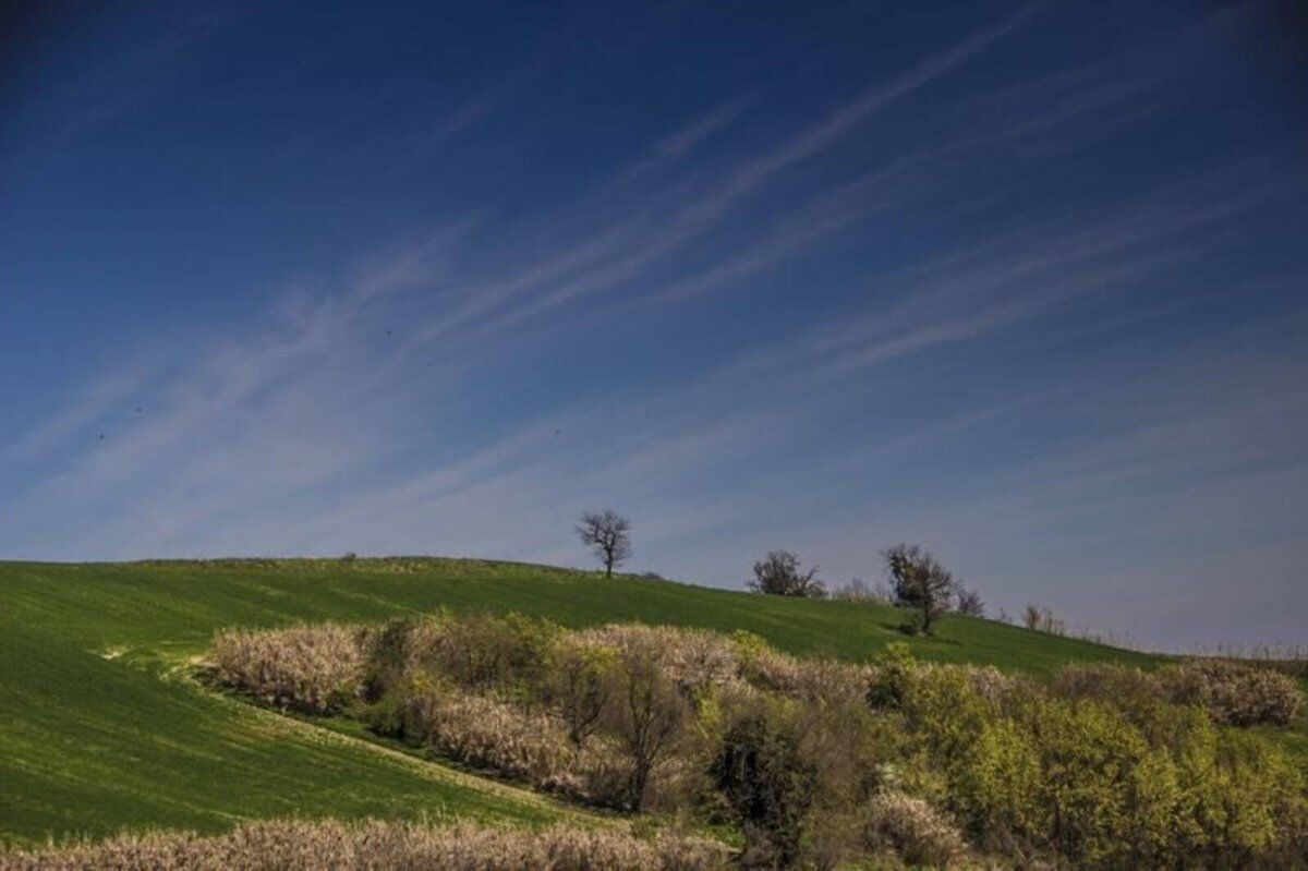 Castelnuovo Bormida una percorso tra le campagne Castelnuovo Bormida una percorso tra le campagne desktop picture