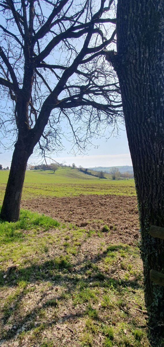 Castelnuovo Bormida una percorso tra le campagne Castelnuovo Bormida una percorso tra le campagne desktop picture