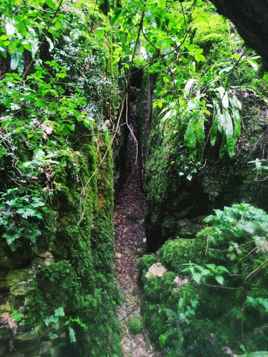 Spurghe di Sant'Urbano: il labirinto roccioso nascosto tra i colli Spurghe di Sant'Urbano: il labirinto roccioso nascosto tra i colli desktop picture