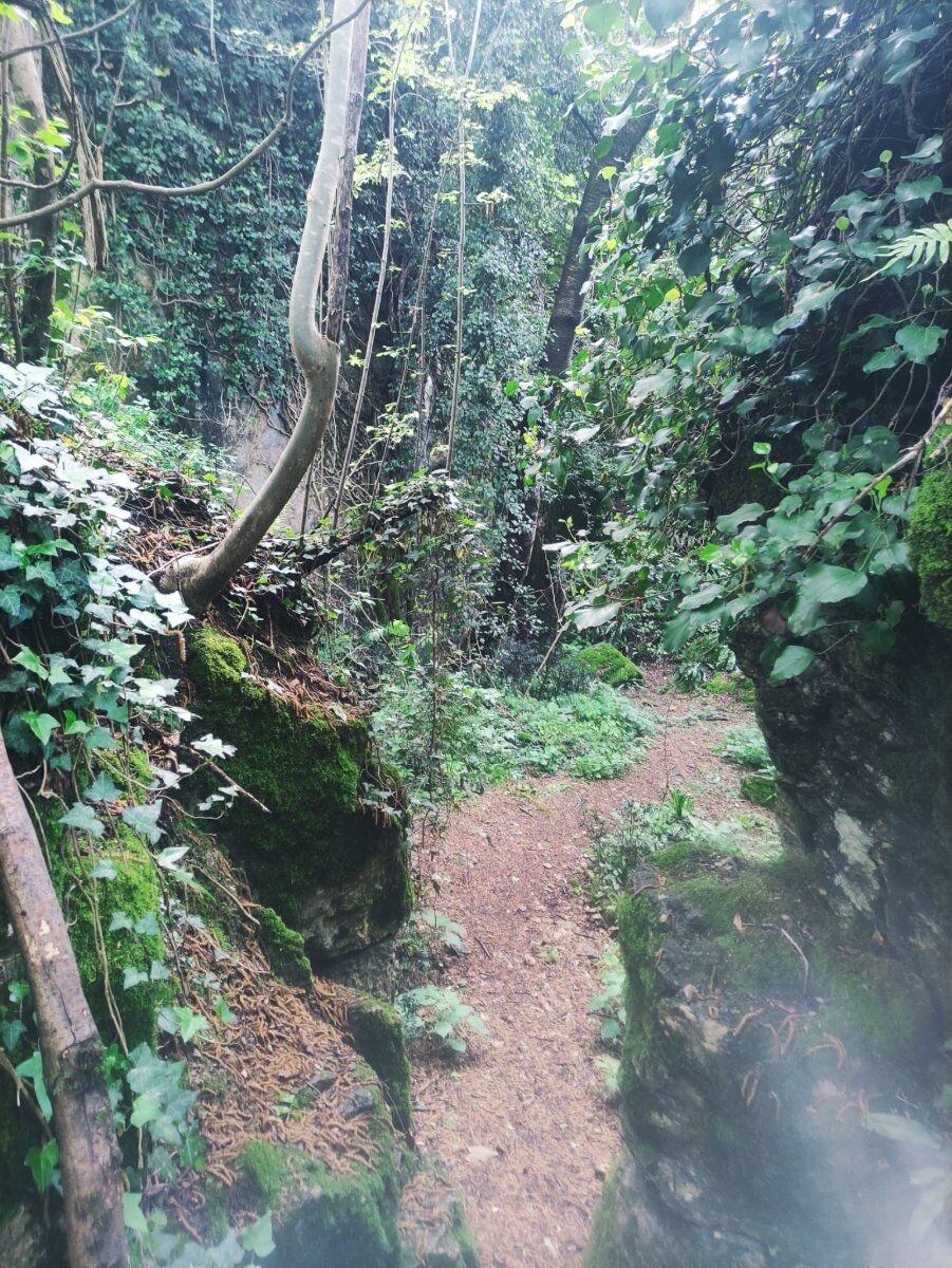 Spurghe di Sant'Urbano: il labirinto roccioso nascosto tra i colli Spurghe di Sant'Urbano: il labirinto roccioso nascosto tra i colli desktop picture