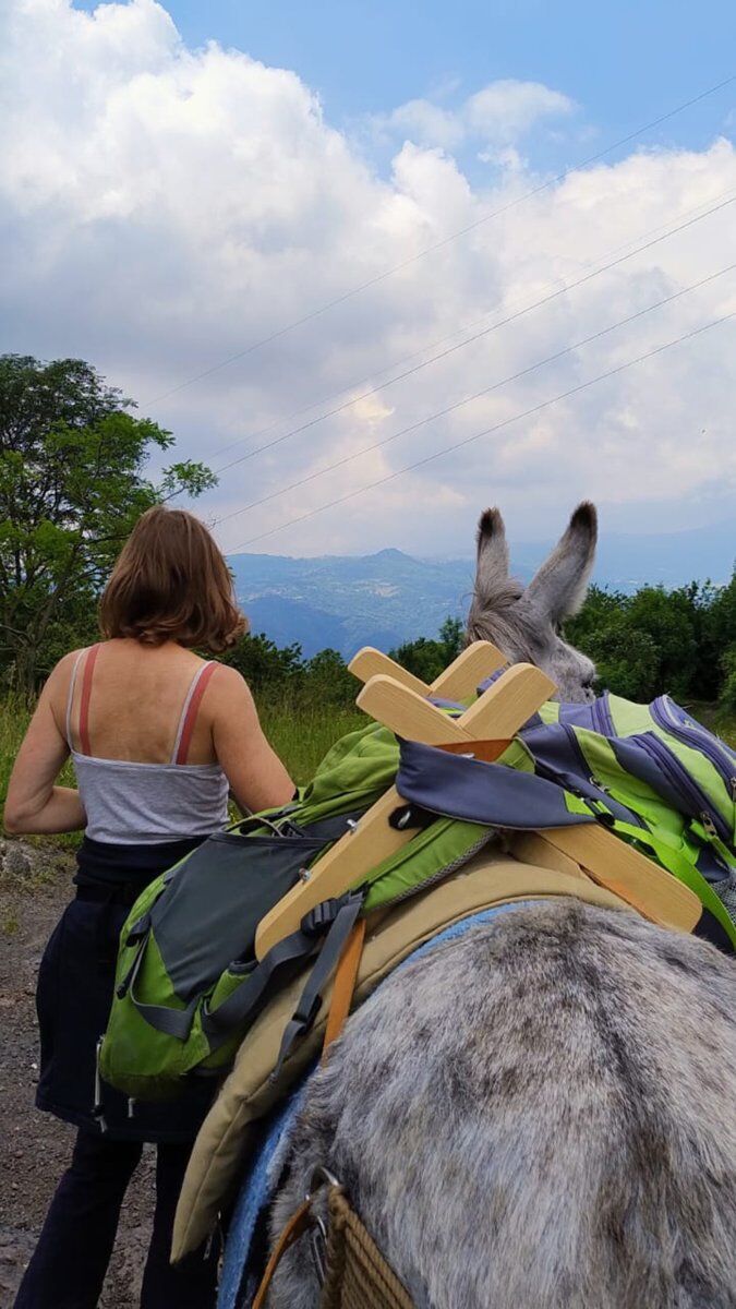 Escursione someggiata con gli asini e degustazione in fattoria Escursione someggiata con gli asini e degustazione in fattoria desktop picture
