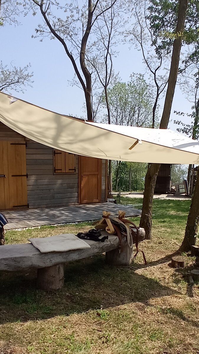 Escursione someggiata con gli asini e degustazione in fattoria Escursione someggiata con gli asini e degustazione in fattoria desktop picture