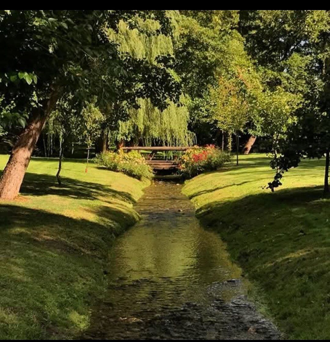 Buffet contadino: barbecue, toro meccanico e balli sotto le stelle Buffet contadino: barbecue, toro meccanico e balli sotto le stelle desktop picture