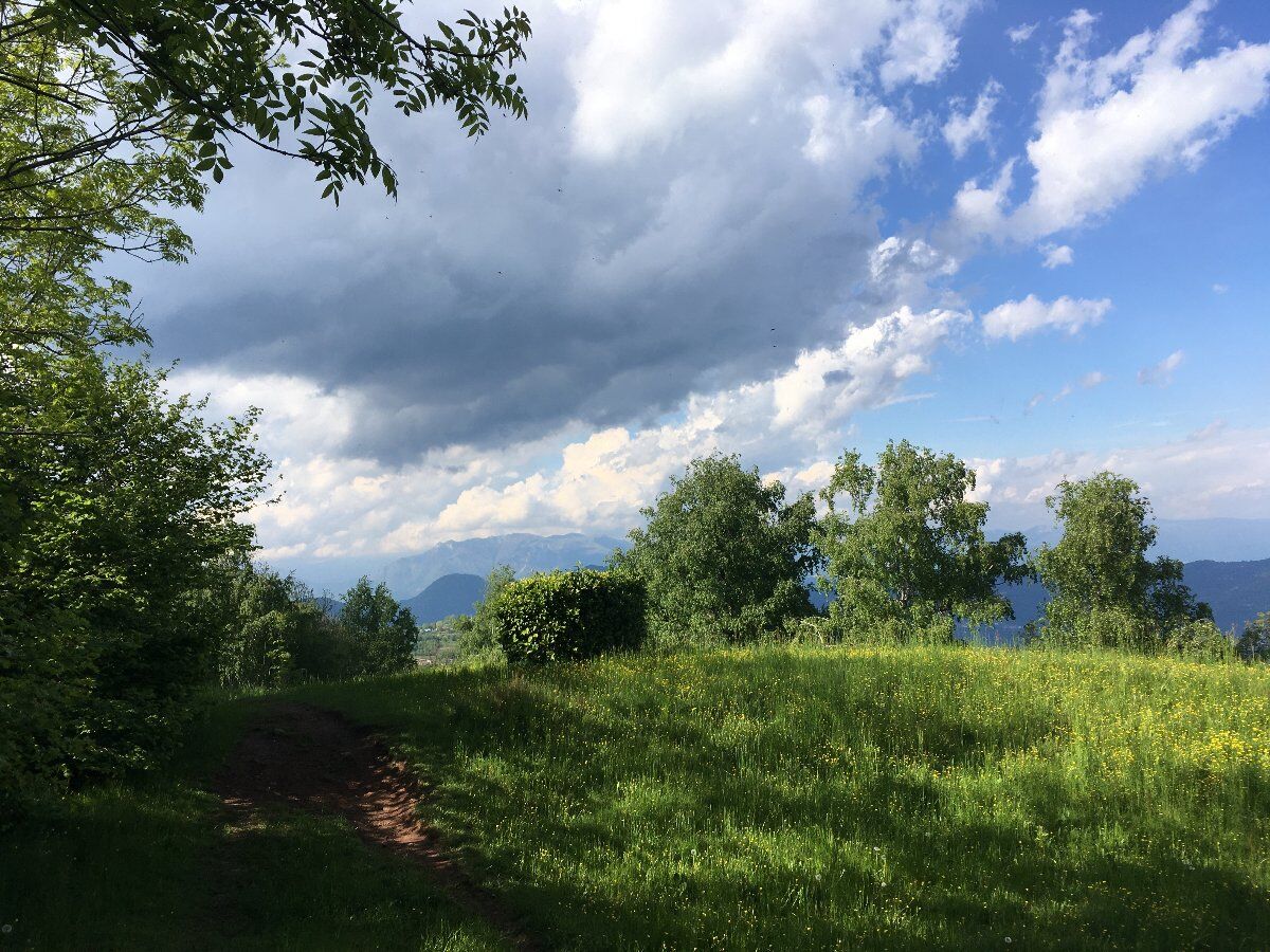 La Via dei Faggi: escursione alla scoperta del Re del bosco La Via dei Faggi: escursione alla scoperta del Re del bosco desktop picture