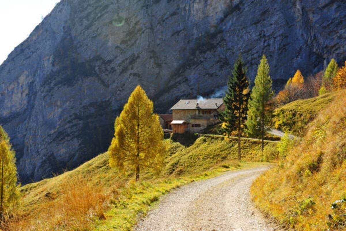 Tra boschi e pareti: il silenzio selvaggio della Val Zemola Tra boschi e pareti: il silenzio selvaggio della Val Zemola desktop picture
