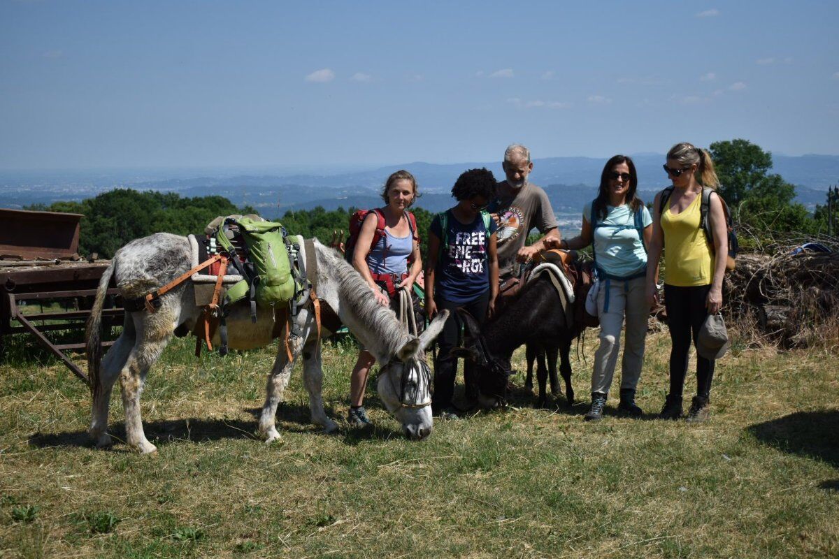 A passo d’asino nell'Alto Vicentino A passo d’asino nell'Alto Vicentino desktop picture